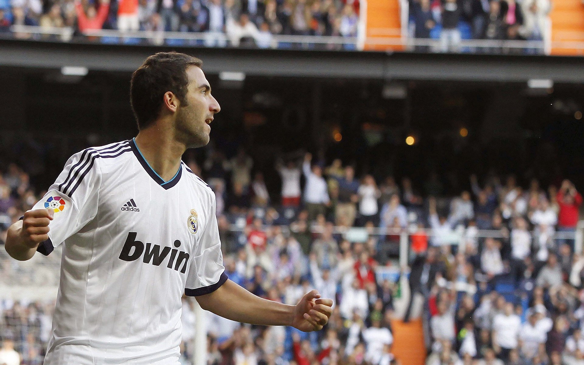 新晋车手：从看台到领奖台的奇迹，新晋车手什么意思